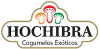 Hochibra